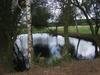 Bed & Breakfast Au Parc Aux Li�vres