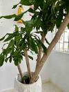 Apartamento Unique Studio With Balcony Near Old Town