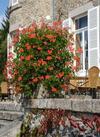 Hotel Ch�teau Le Mialaret