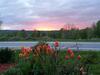 Au G�te Du Cerf Argent� B&B