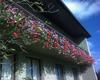 Hostal Privat Apartma Ulrych