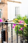 Apartamento Tourist House Santa Cruz