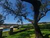 Hotel Alojamiento Rural Finca Barral
