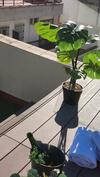 Apartamento Rentalsevilla Cardenal Cervantes