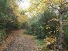 Finca Vistas Al Teide Con Jacuzzi, Wifi Y Tv Sat�lite