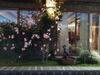 Finca Vistas Al Teide Con Jacuzzi, Wifi Y Tv Sat�lite
