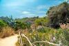 Ses Savines Beach Cala Llombards
