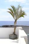 Rooftop Dreamhouse - 3br With Seaviews