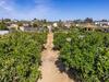 Holiday Home Rocio By Interhome