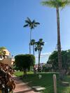 Apartamento Hermoso Estudio Parque Albatros
