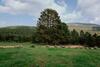 Cotanda - Casa De Monta�a Aislada En El Macizo Del Penyagolosa