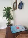 Apartamento D�plex Isthar Playa De Usil
