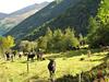 Camping Le Haut Salat