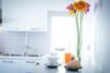 Bed & Breakfast Nova Domus