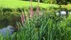 Bed & Breakfast Ch�teau De Bouc�el