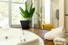 Luxurious 2 Bedroom Townhouse In Sierra Blanca