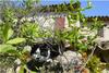 Bed & Breakfast Le� Souco