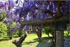 Bed & Breakfast Le� Souco