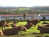 Hostal Quinta De Moledos