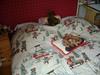 Bed & Breakfast Les Volets Bleus Alsace Vosges