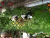 Bed & Breakfast Il Castello