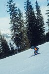 Hotel Forsthofalm