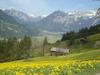Apartamento Appartementhaus Eberharter