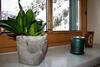 Apartamento Pension Alpin
