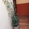 Hotel Hostal Downtown Quito
