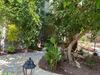 Flor Guest House