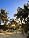 Alito Tulum Hotel