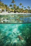 Club Wyndham Elysian Beach Resort