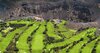Bandama Golf Hotel By Airnest