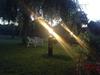 Bed & Breakfast Le Pr� Aux Daims