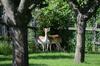 Bed & Breakfast Le Pr� Aux Daims