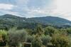 Villa Il Fienile