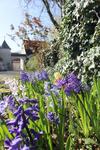 Bed & Breakfast Manoir De La Foulquetiere