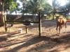 Agroturismo Chacara Santa Barbara