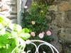 Bed & Breakfast Chambres Hotes Saint Yves