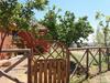 Agroturismo Casa Rural Romana