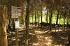 Viviendas Turisticas Canto Da Floresta Ecoresort