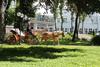 Schloss Hotel Yantarny