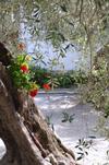 Apartamento Agriturismo C� Di Ughi