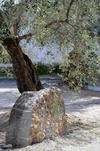 Apartamento Agriturismo C� Di Ughi