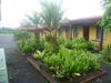 Hotel Arenal Rossi (.)