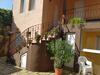 Hostal Pensiunea Phoenix
