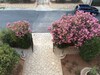 Bed & Breakfast Orlando Vacanze