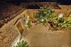 Agroturismo Borgo Alveria
