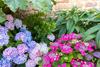 Bed & Breakfast Le Clos Du Men-allen
