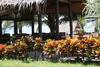 Hotel Ao Thai Resort